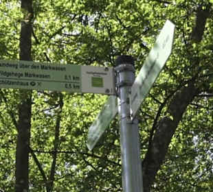 Wanderweg Hochgehwachsen