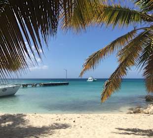 Isla Saona