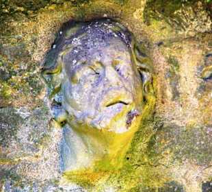 In der Mauer drin super