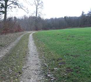 Brühl-Brünnele Ehestetten