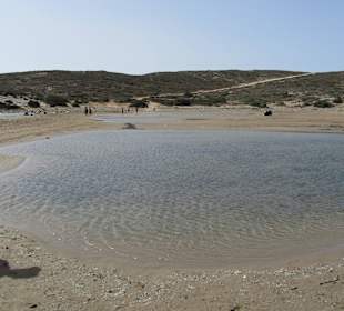 Prasonissi
