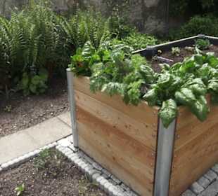 Benediktinerkloster Lorch