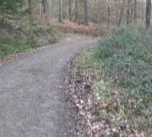 Rundwanderung durch den Rauhen Rammert Hemmendorf