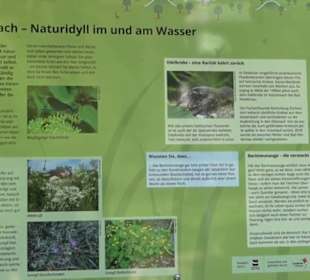 Wanderweg Sieben-Täler-Runde 