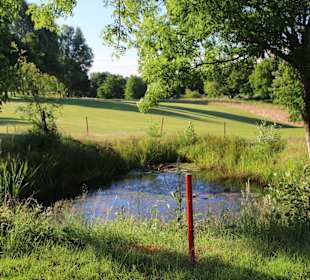 Interessante Fairways mit Hindernissen