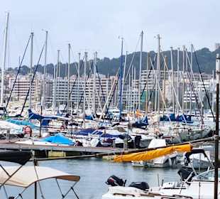 Hafen Palma de Mallorca