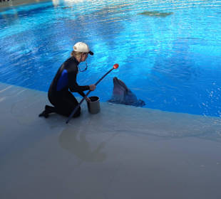 Hunger, ich will nicht spielen