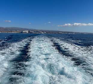 Inselrundfahrt Gran Canaria