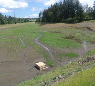 Wasserwanderweg „Buntenbocker Teiche“
