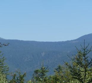 Bei unserer Wanderung zur Harlachberger-Spitze