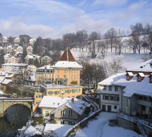Bern Altstadt - Aale