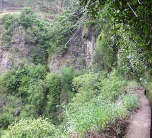 Immer an der Levada Nova entlang