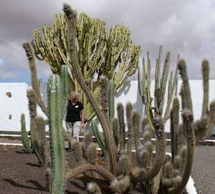 Im Kaktusgarten von Atnigua