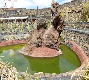 Im Garten Jardin de Cactus