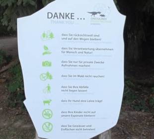 Dinosaurier Museum Altmühltal