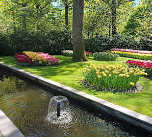 Keukenhof