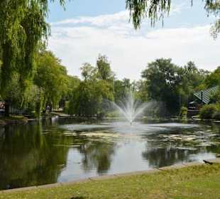Toronto Islands