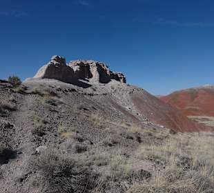 Painted Desert _вид37