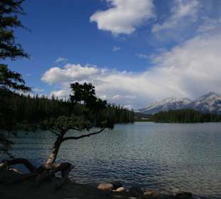 in Jasper