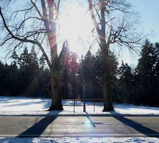 Wegkreuz auf dem höchsten Punkt