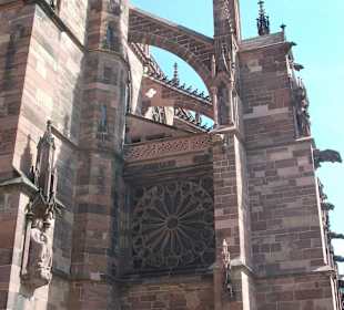 Münster