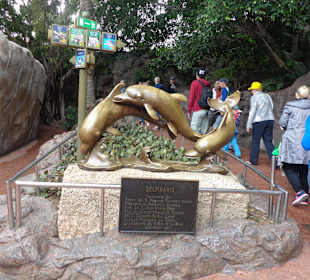 Eingangsbereich Delfine