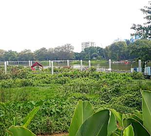 Jurong Lake und Gärten