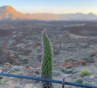 Teneriffa Tour Teide-Nationalpark