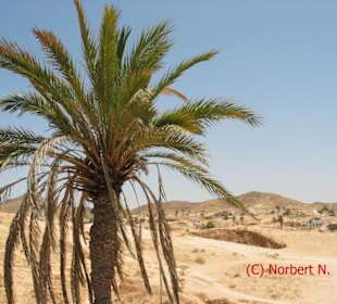 Berberwohnungen in Matamta