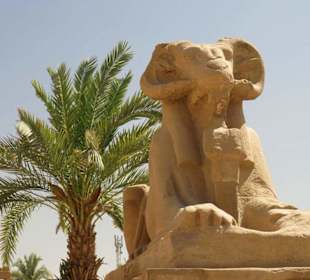 Luxor Tempel