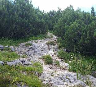 Steiler Weg nach oben