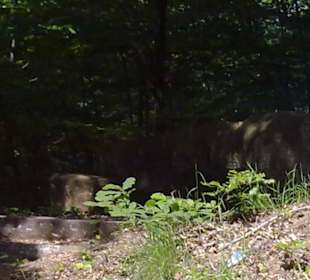 Skulpturenweg Rheinland-Pfalz in Rheinland-Pfalz