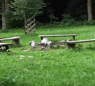 Sonnenaufgangs-Rundwanderung Rübgarten