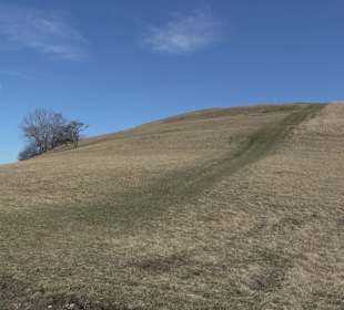 Naturschutzgebiet Meisenbühl