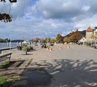 Hafen Stein am Rhein