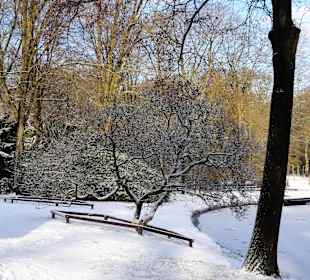 Winterspaziergang durch den Bürgerpark
