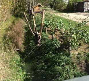 Park Oase der Gesundheit