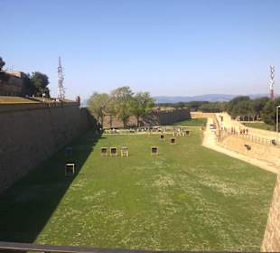 Los jardines traseros