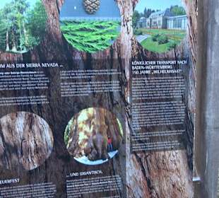 Ochsenweiher Rundweg