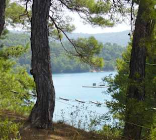Blick aus dem Kletterwald auf den Stausee