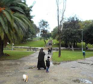 Jardin de La Mendoubia