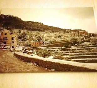 Bilder vom Winter im Gebiet