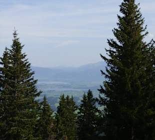 Blick auf die Seen bei Füssen