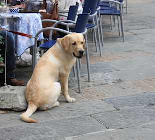 Сан-Джиминьяно