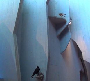 Nationalparkzentrum Haus der Berge