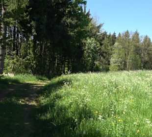 Magolsheimer Buchtalweg