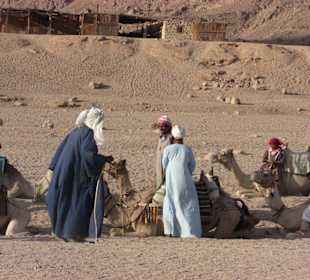 Besuch im Beduinendorf