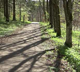 Baumlehrpfad Sontheim