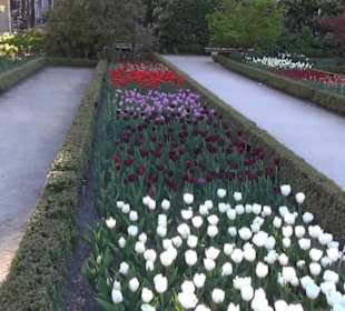 Real Jardín Botánico de Madrid