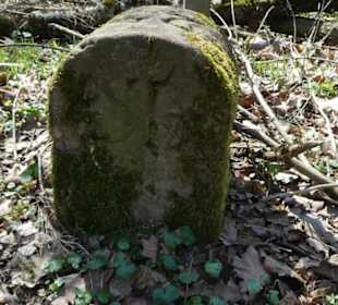 Historischer Grenzstein auf dem Schwanberg